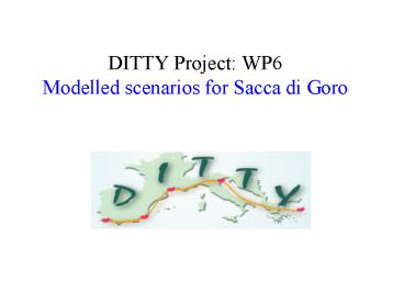 DITTY Project: WP6 Modelled scenarios for Sacca di Goro
