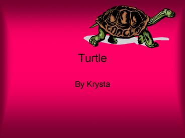 Turtle