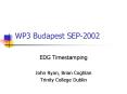 WP3 Budapest SEP2002 PowerPoint PPT Presentation