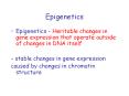 Epigenetics PowerPoint PPT Presentation