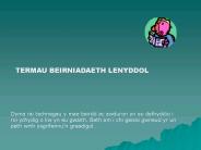 TERMAU BEIRNIADAETH LENYDDOL
