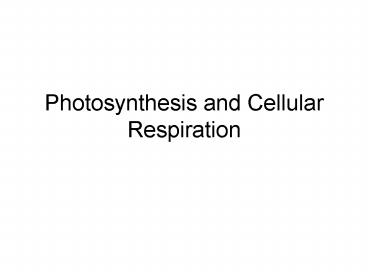 Photosynthesis and Cellular Respiration