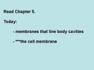 Read Chapter 5'
