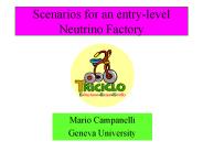 Scenarios for an entry-level Neutrino Factory