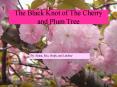 The Black Knot of The Cherry and Plum Tree PowerPoint PPT Presentation