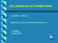 CHLORINATION OF SHRIMP POND PowerPoint PPT Presentation