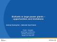 Biofuels in large power plants opportunities and limitations PowerPoint PPT Presentation