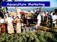 Aquaculture Marketing PowerPoint PPT Presentation