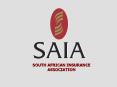SOUTH AFRICAN INSURANCE ASSOCIATION PowerPoint PPT Presentation