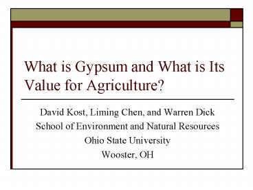 What is Gypsum and What is Its Value for Agriculture?