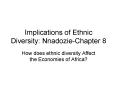 Implications of Ethnic Diversity: Nnadozie-Chapter 8 PowerPoint PPT Presentation