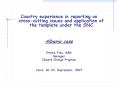 Country experience in reporting on cross-cutting issues and application of the template under the SNC PowerPoint PPT Presentation