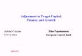 Adjustment to Target Capital, Finance, and Growth PowerPoint PPT Presentation