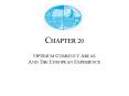 CHAPTER 20 OPTIMUM CURRENCY AREAS AND THE EUROPEAN EXPERIENCE PowerPoint PPT Presentation