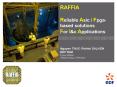 RAFFIA Reliable Asic Fpgabased solutions For I PowerPoint PPT Presentation