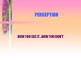 PERCEPTION PowerPoint PPT Presentation