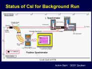 Status of CsI for Background Run