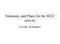 Summary and Plans for the WG3 activity PowerPoint PPT Presentation