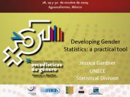 Developing Gender Statistics: a practical tool