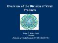 Overview of the Division of Viral Products PowerPoint PPT Presentation