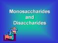 Monosaccharides and Disaccharides PowerPoint PPT Presentation