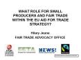WHAT ROLE FOR SMALL PRODUCERS AND FAIR TRADE WITHIN THE EU AID FOR TRADE STRATEGY PowerPoint PPT Presentation