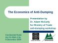 The Economics of AntiDumping PowerPoint PPT Presentation