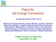 Plans for Jet Energy Corrections
