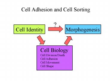 presentation player overlay