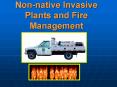 Nonnative Invasive Plants and Fire Management PowerPoint PPT Presentation