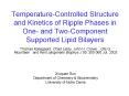 TemperatureControlled Structure and Kinetics of Ripple Phases in One and TwoComponent Supported Lipi PowerPoint PPT Presentation