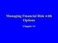 Managing Financial Risk with Options PowerPoint PPT Presentation