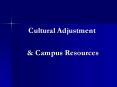 Cultural Adjustment PowerPoint PPT Presentation
