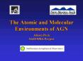The%20Atomic%20and%20Molecular%20Environments%20of%20AGN PowerPoint PPT Presentation