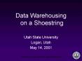 Data Warehousing on a Shoestring PowerPoint PPT Presentation