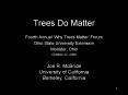 Trees Do Matter PowerPoint PPT Presentation