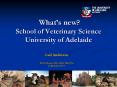 Whats new School of Veterinary Science University of Adelaide PowerPoint PPT Presentation
