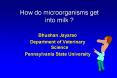 How do microorganisms get into milk PowerPoint PPT Presentation