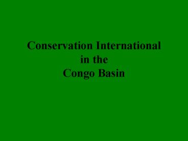 Conservation International in the Congo Basin