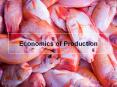 Economics of Production PowerPoint PPT Presentation
