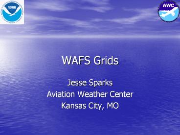 WAFS Grids