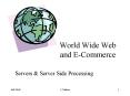 World Wide Web and E-Commerce PowerPoint PPT Presentation