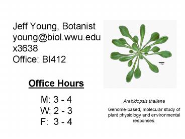 Jeff Young, Botanist youngbiol'wwu'edu x3638 Office: BI412