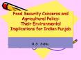 Food Security Concerns and Agricultural Policy: Their Environmental Implications for Indian Punjab PowerPoint PPT Presentation