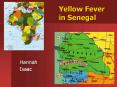 Yellow Fever in Senegal PowerPoint PPT Presentation