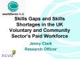 Skills Gaps and Skills Shortages in the UK Voluntary and Community Sectors Paid Workforce PowerPoint PPT Presentation
