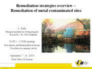 Remediation strategies overview 
