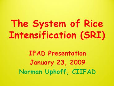 The System of Rice Intensification (SRI)