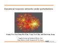 Dynamical response networks under perturbations PowerPoint PPT Presentation