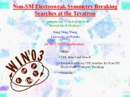 Non-SM Electroweak Symmetry Breaking Searches at the Tevatron